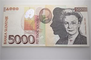 5000 Talerjev 2004