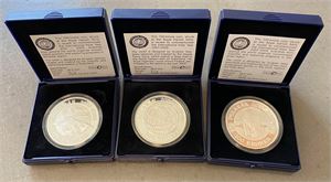 100 kroner 2007-2009, polarmønter, komplet sæt. (3)