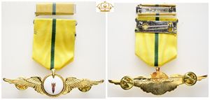 Air Force Merit Medal