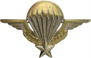 Paratroopers Wings badge