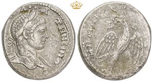 Tetradrachm - Seleucis & Pieria
