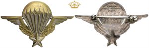 Paratroopers Wings badge