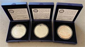 100 kroner 2007-2009, polarmønter, komplet sæt. (3)