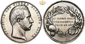 Medaljen for druknedes redning